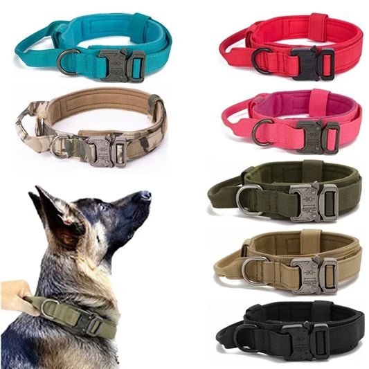 Durable Training Dog Collar
